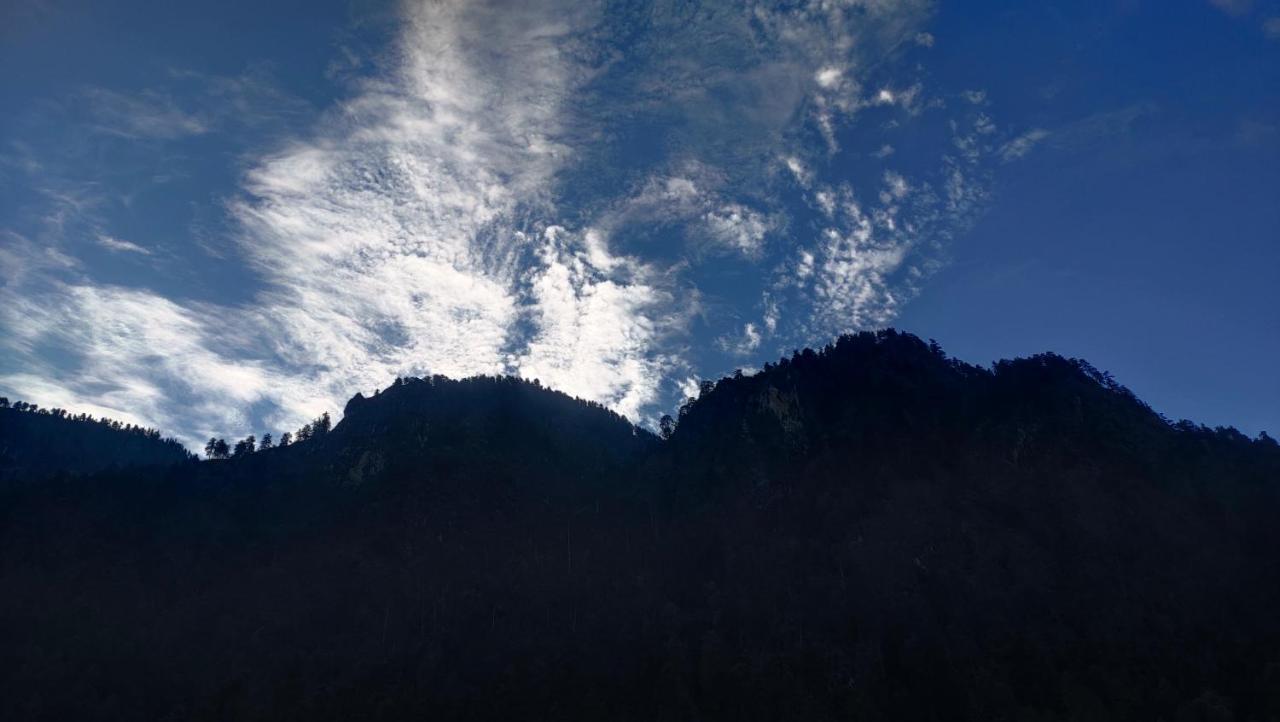 Snow View Guest House Kasol Exterior photo