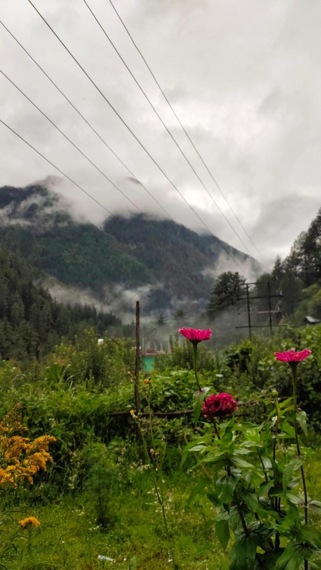 Snow View Guest House Kasol Room photo